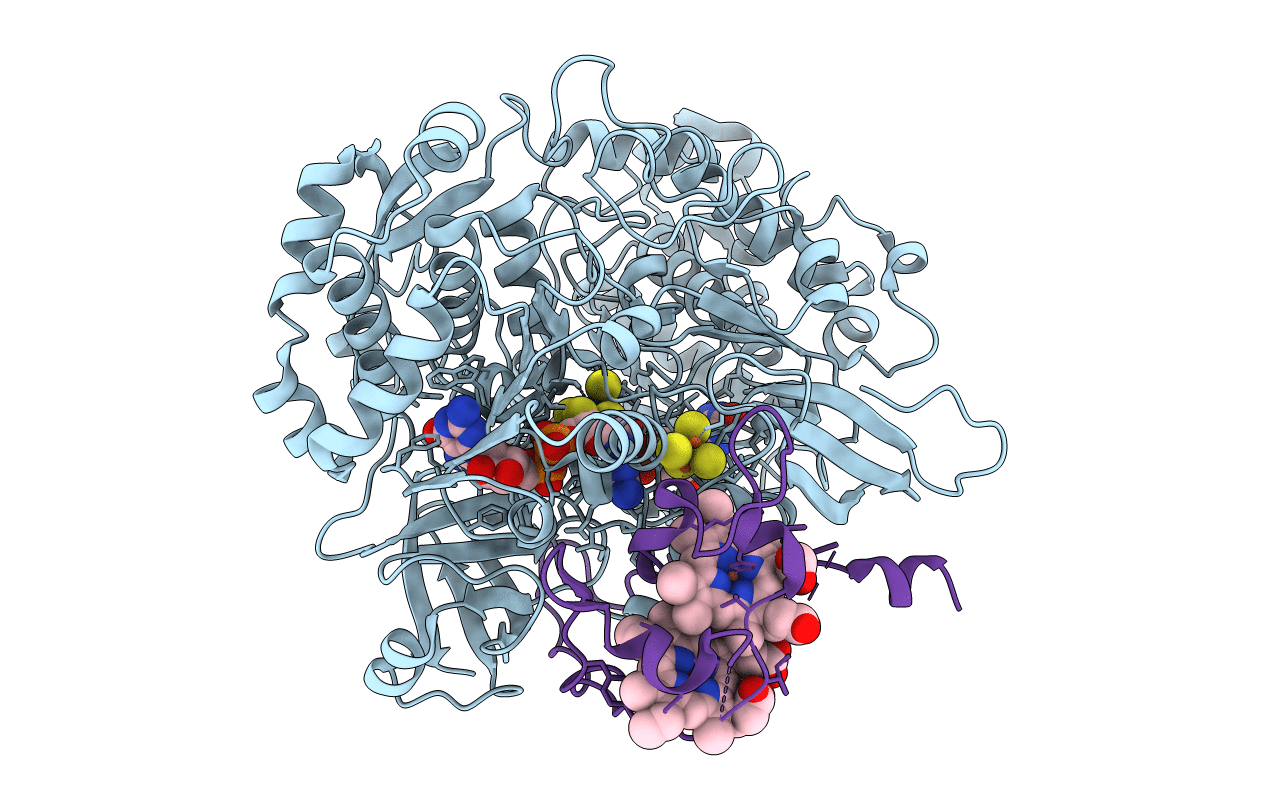 3ML1 image