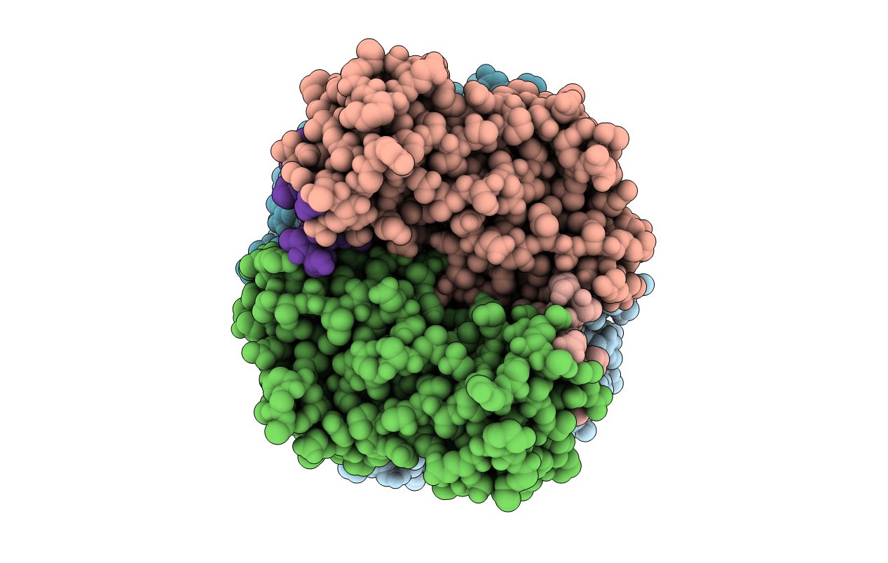 3ML4 image