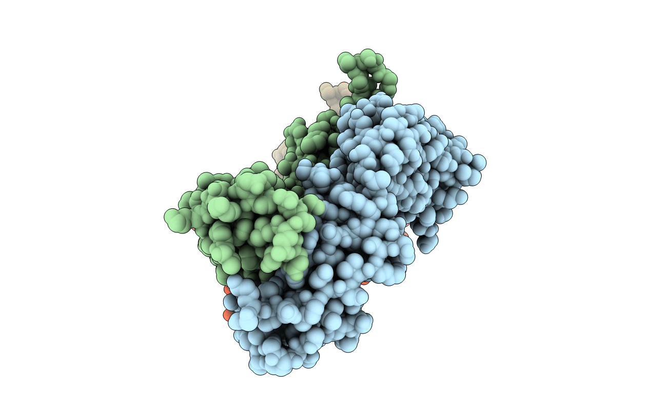 3MLV image