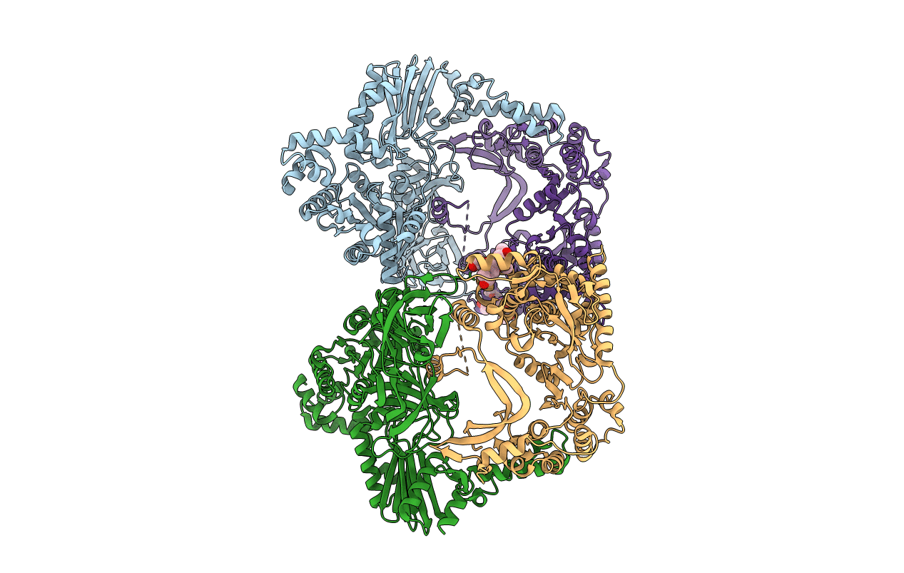 3MMP image