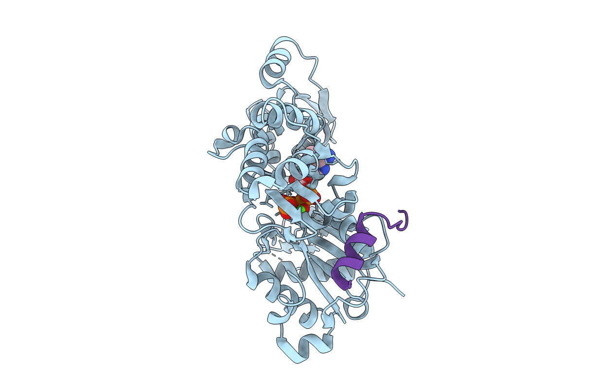 3MMV image
