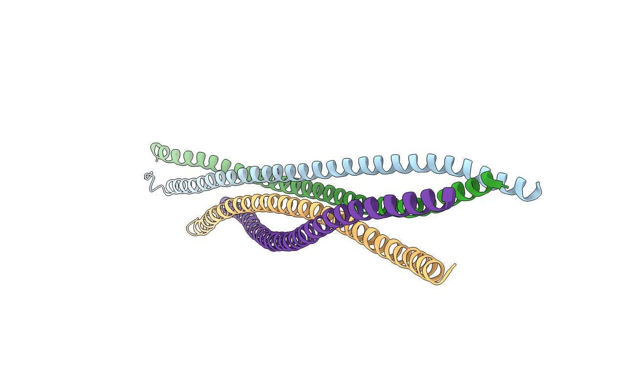 3MQB image