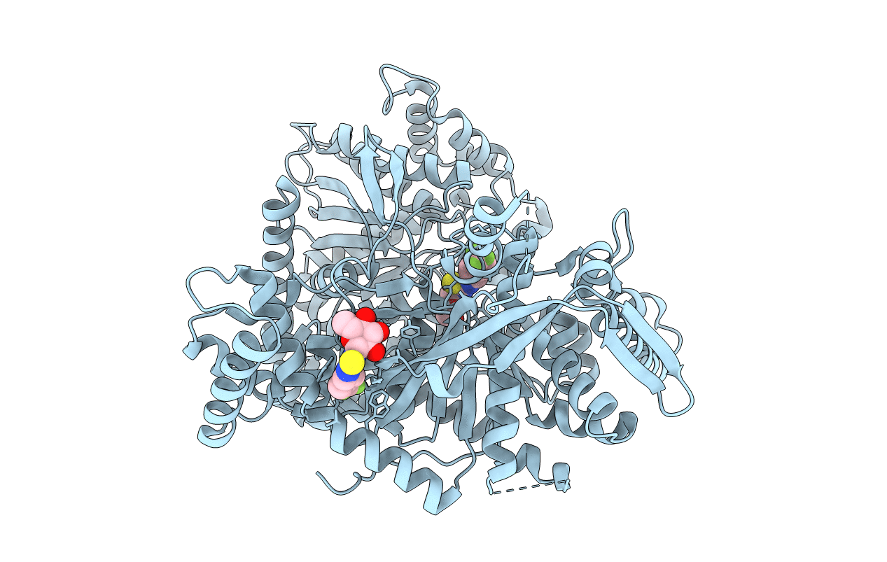 3MS4 image