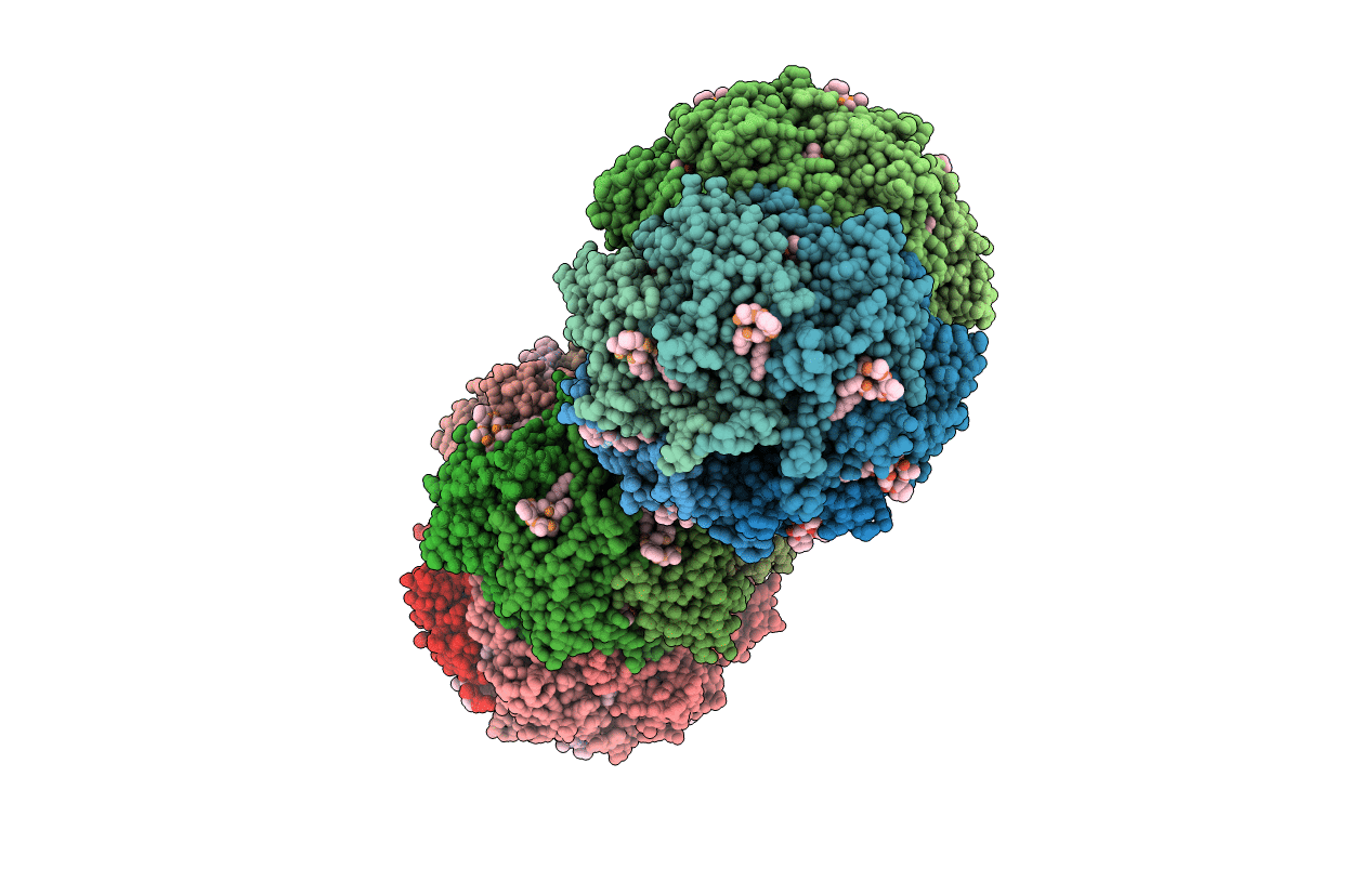 3MT6 image