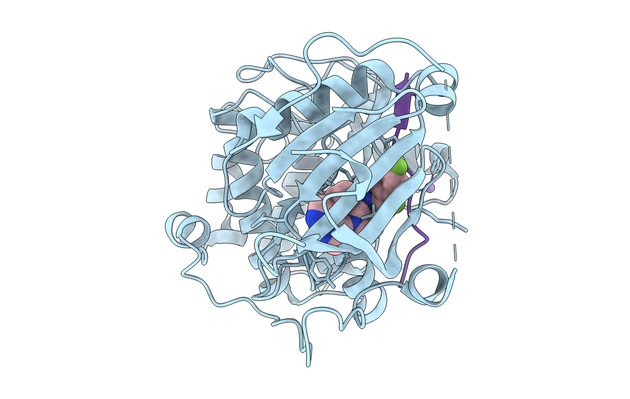 3MVH image