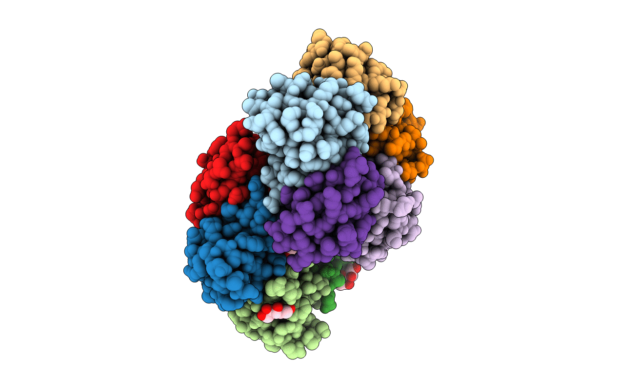 3MXG image