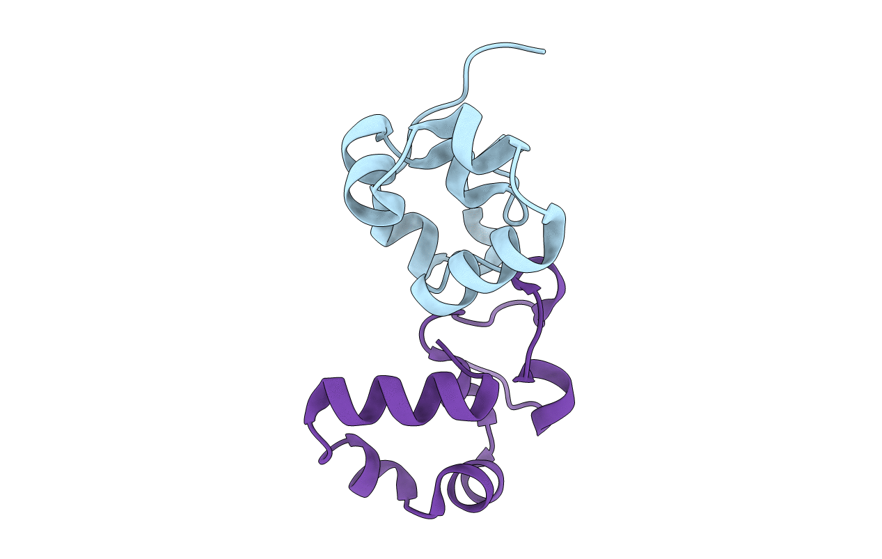3MYA image