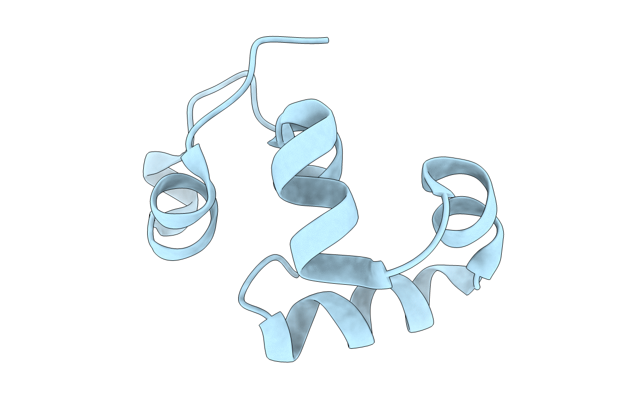 3MYC image