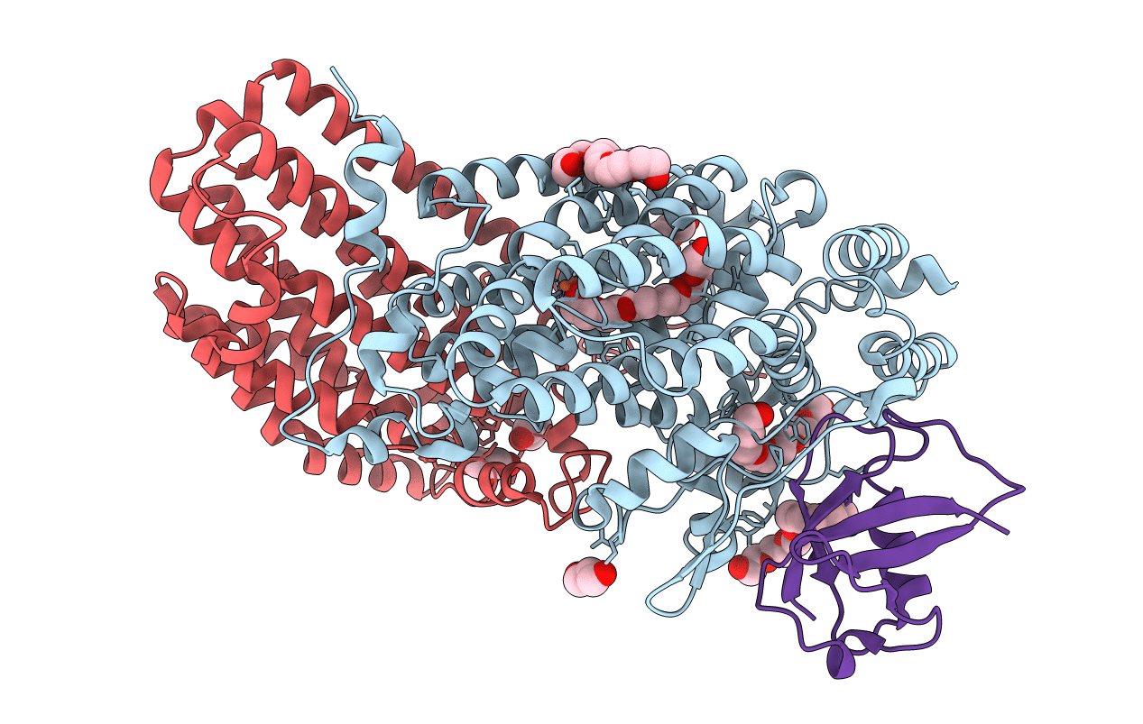 3N20 image