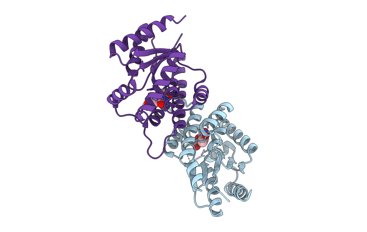 3N2I image