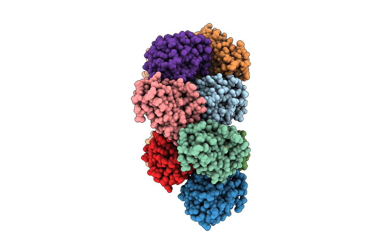 3N2J image