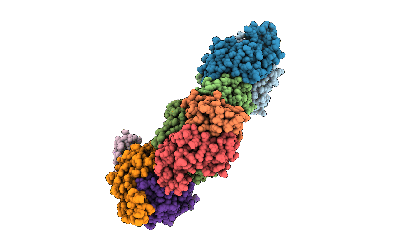 3N4D image