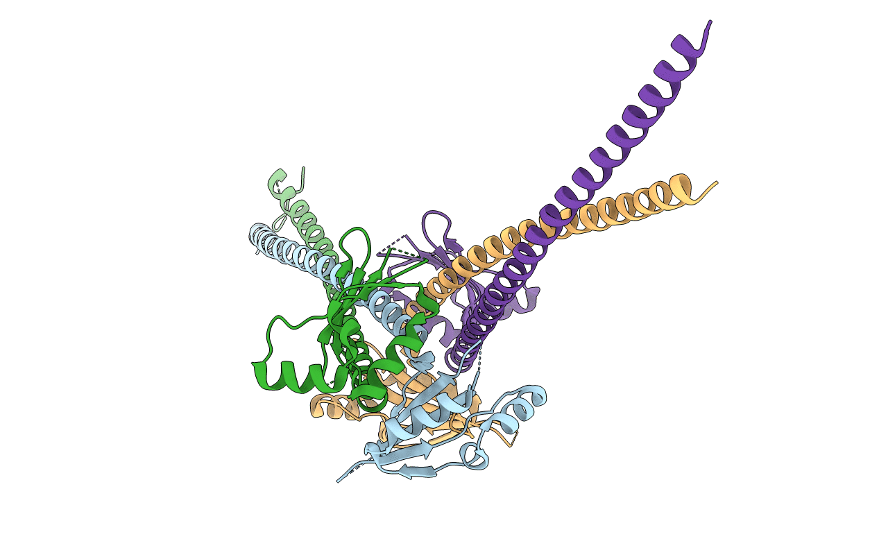 3N4X image