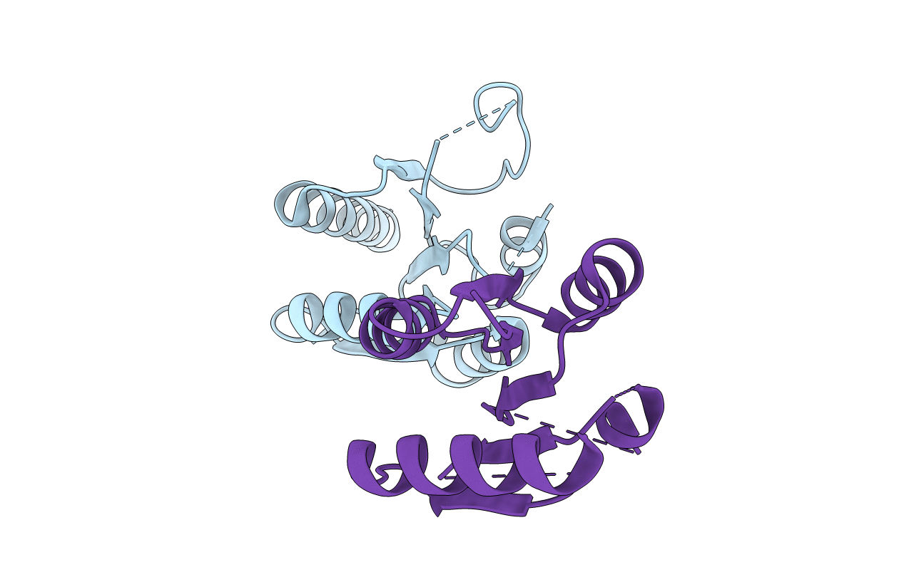 3N53 image