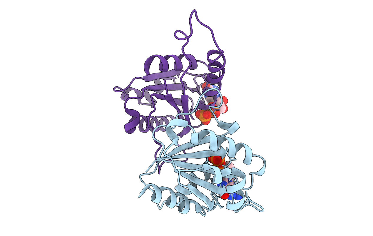 3N5C image