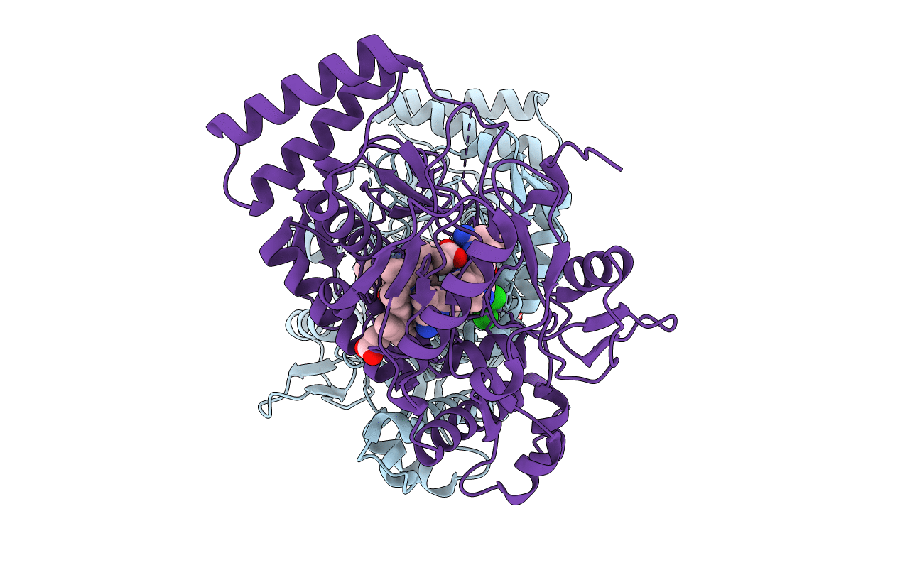 3N61 image