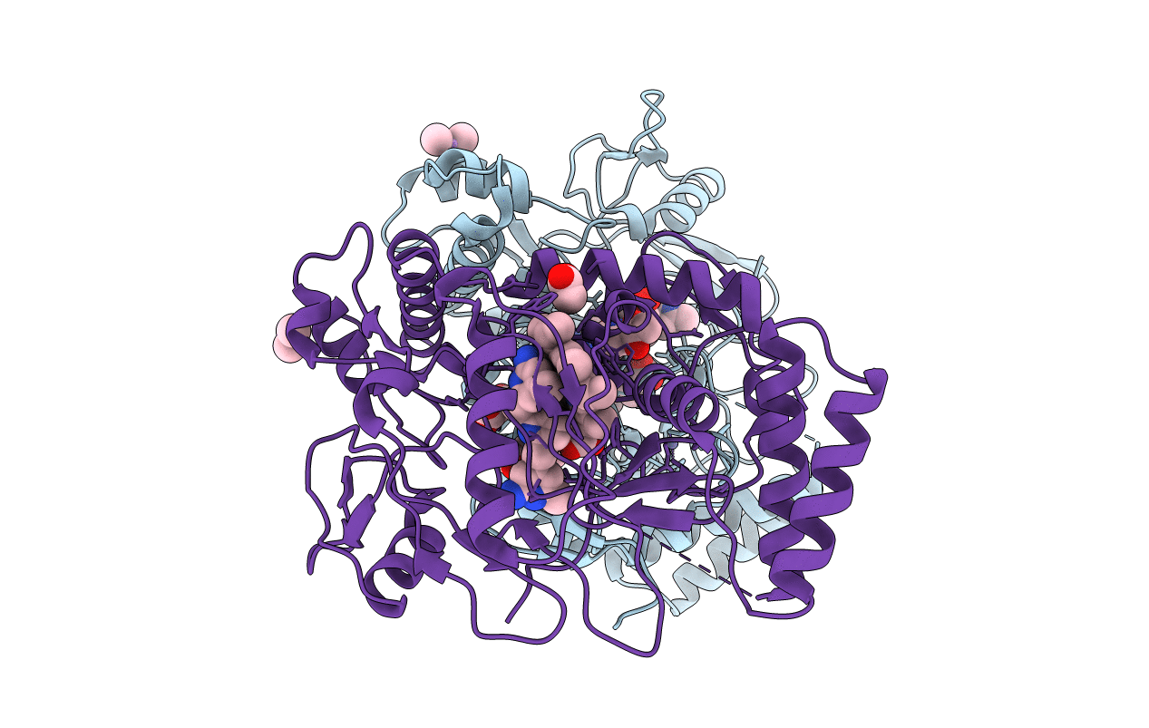 3N6C image