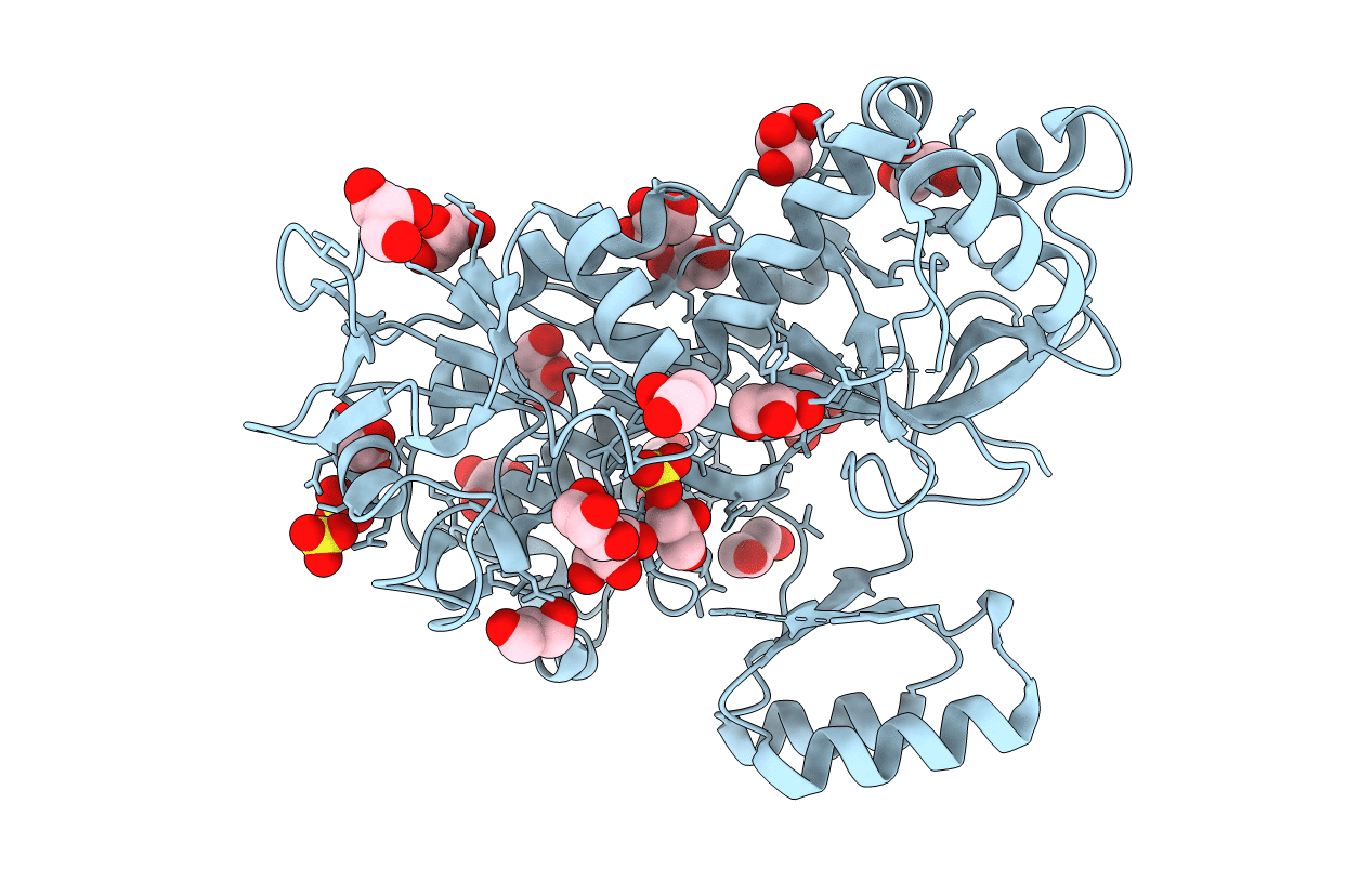 3N6X image