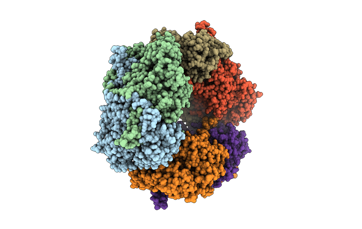 3NBB image