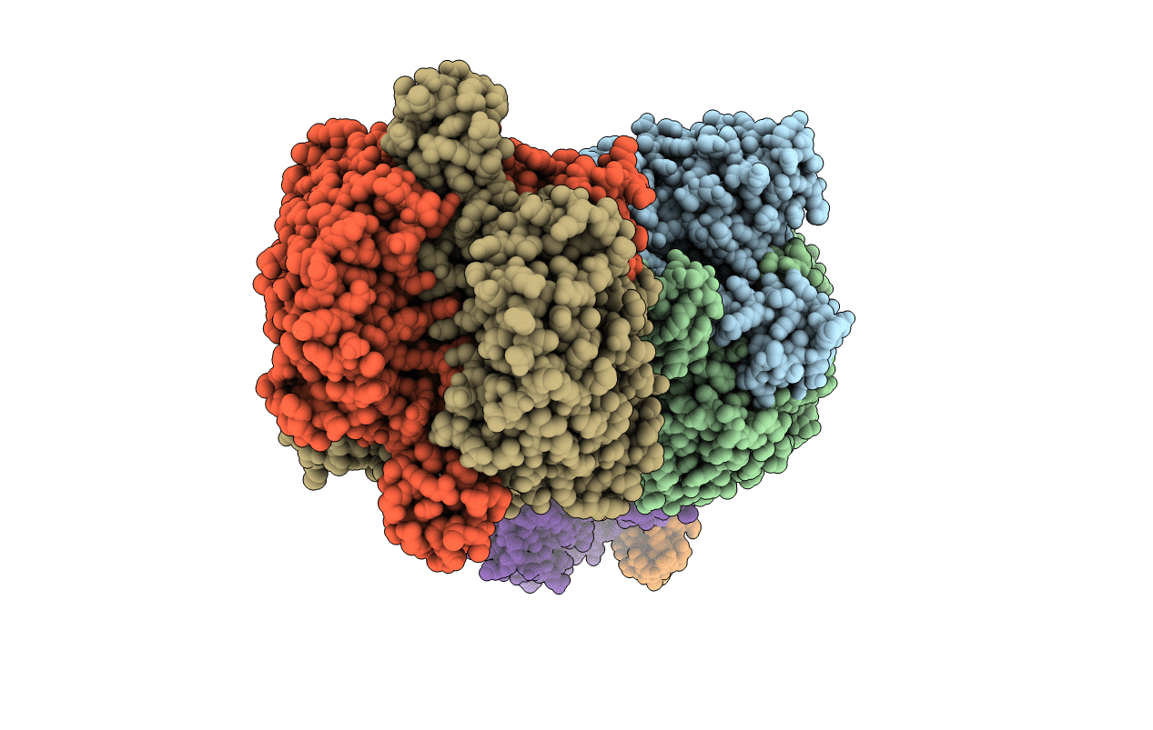 3NBU image