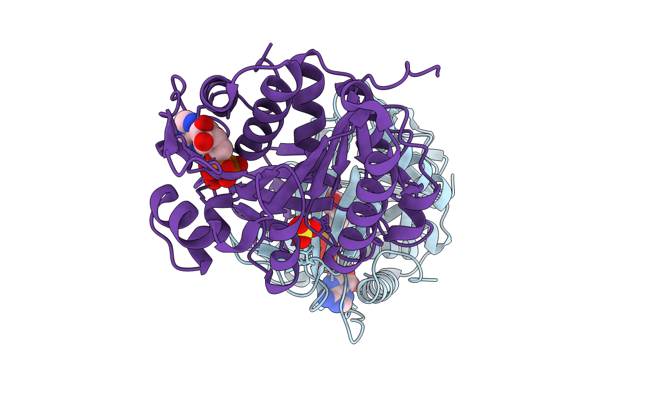 3NBV image