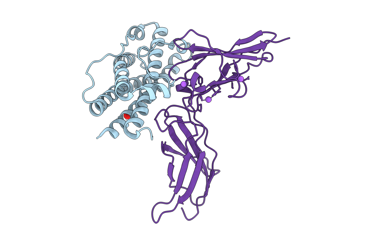 3NCB image