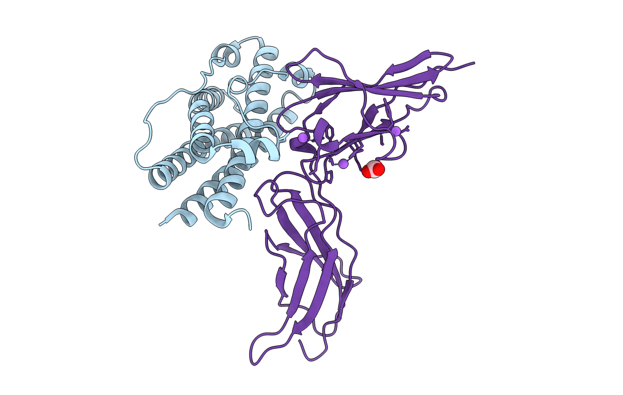 3NCC image