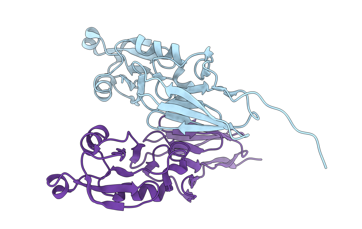 3NCX image