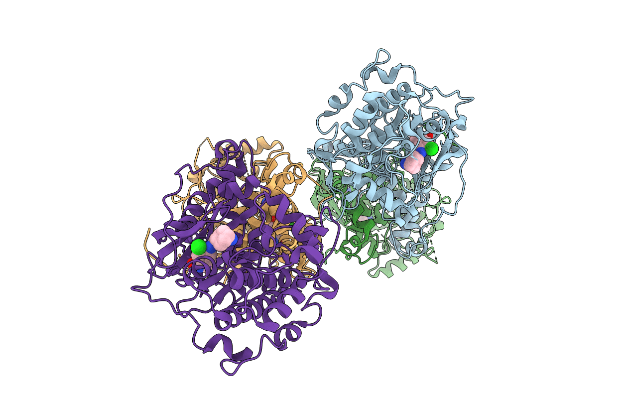 3NCZ image