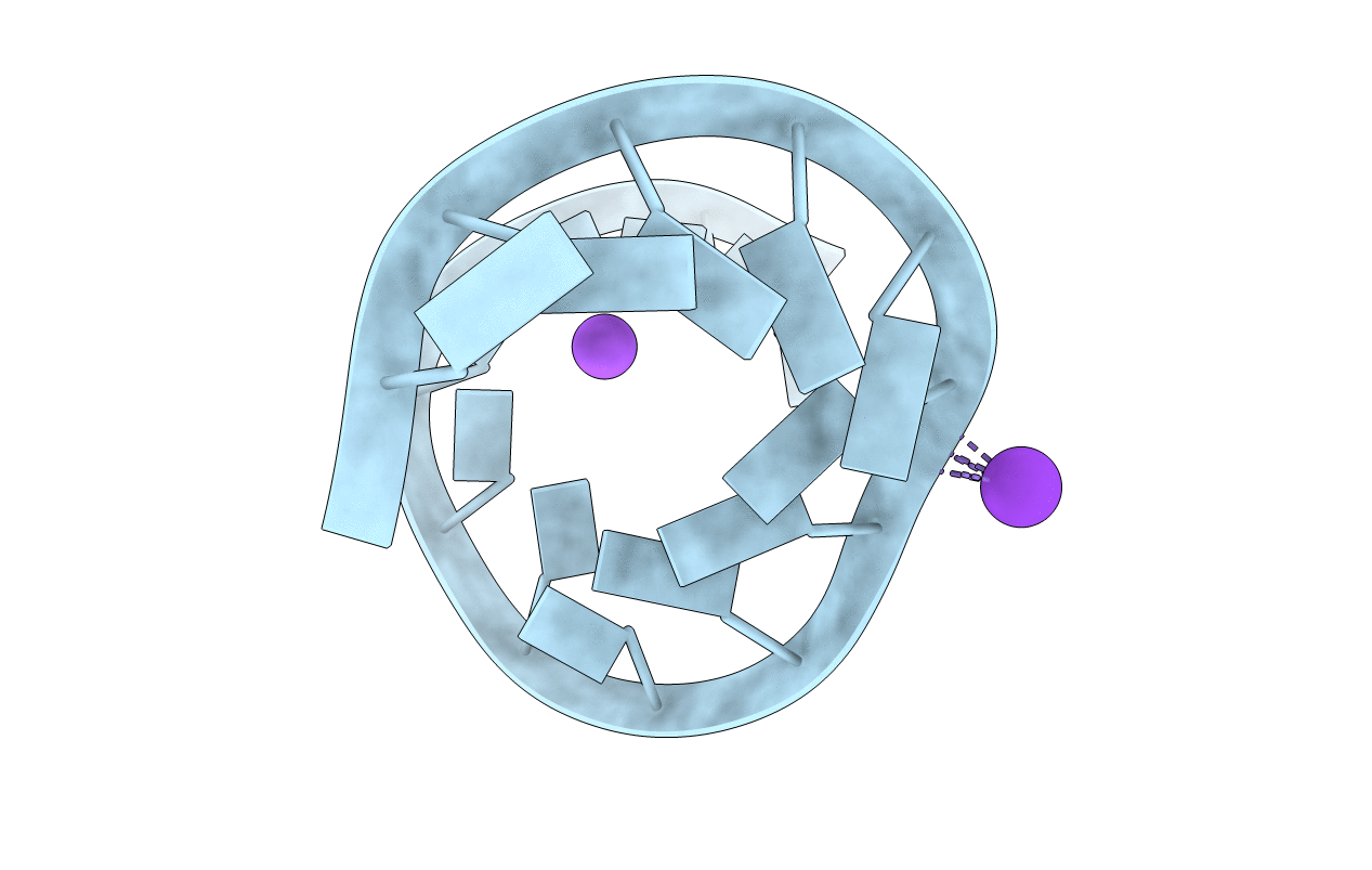 3ND4 image