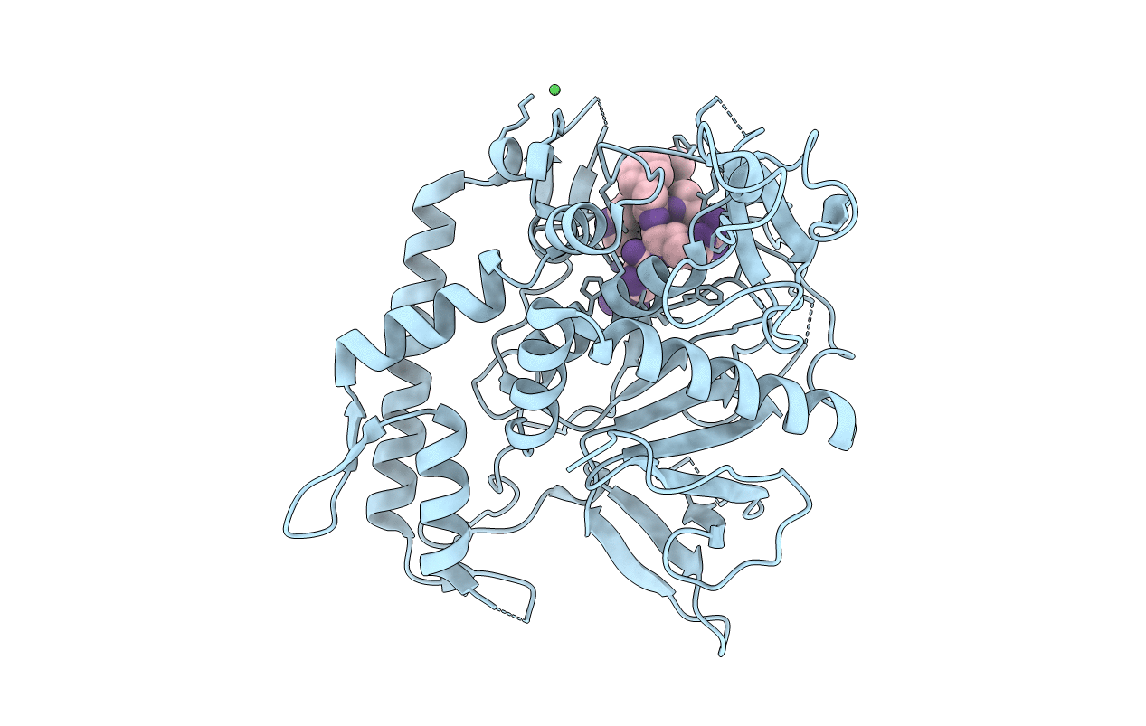 3NF3 image
