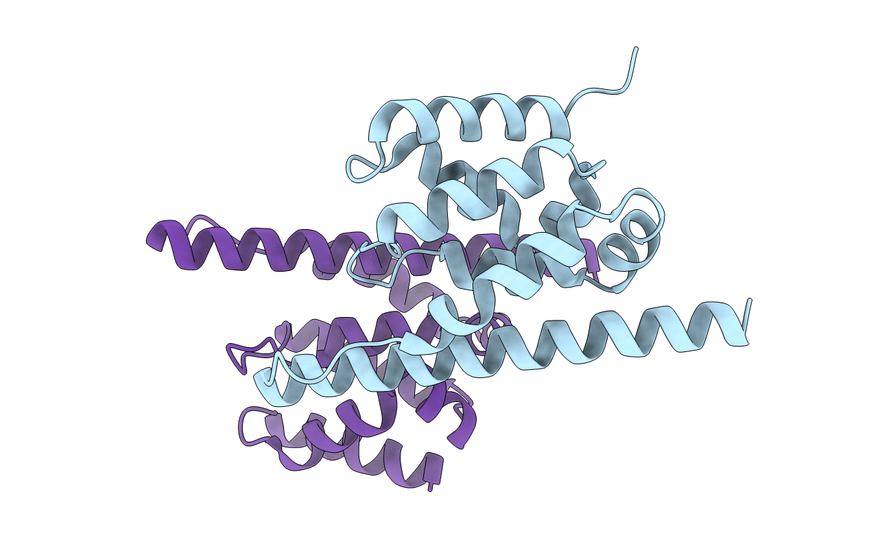 3NFQ image