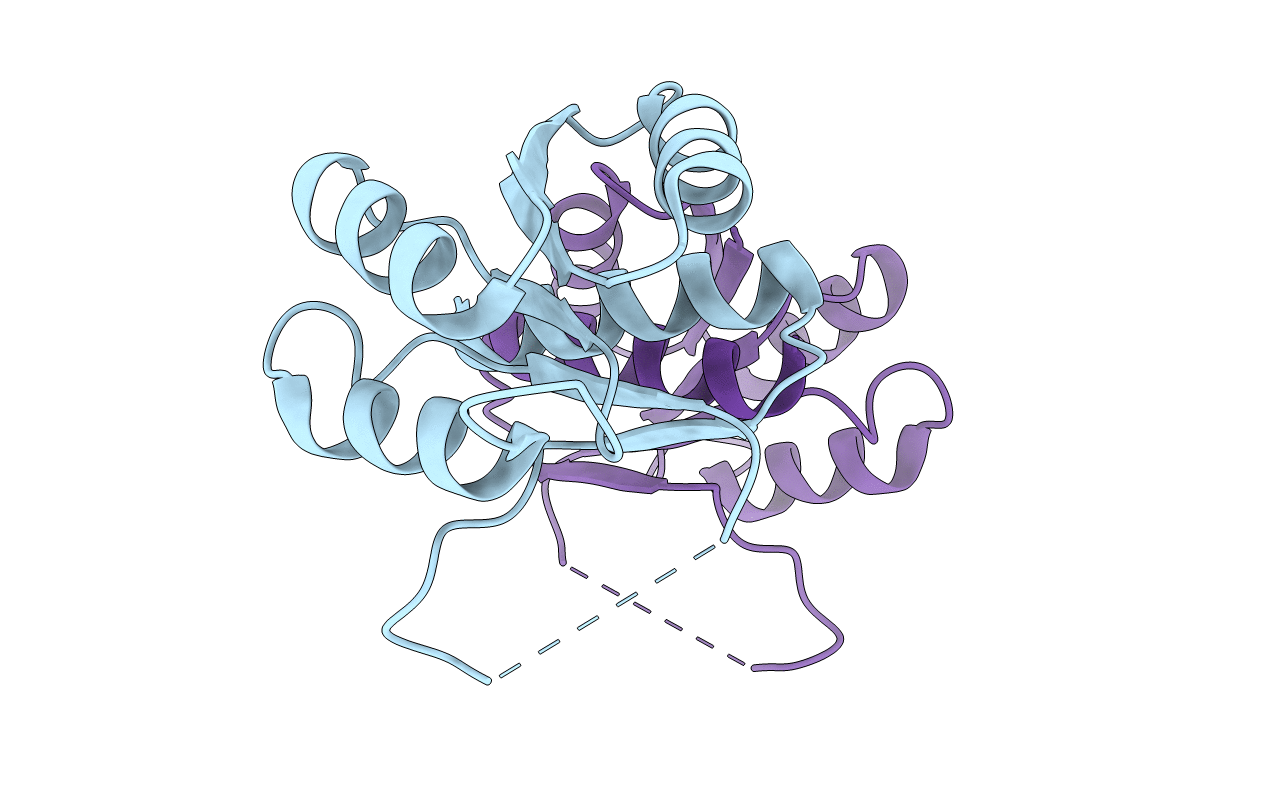 3NHM image