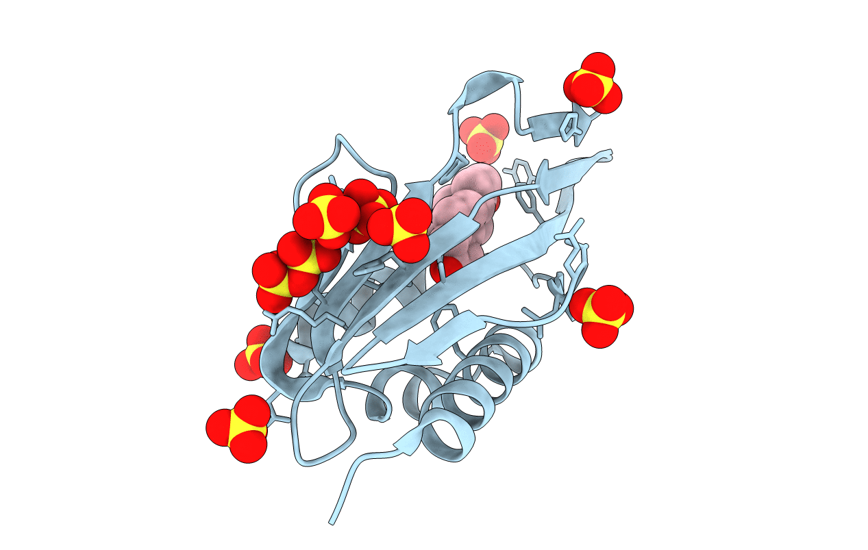 3NHX image