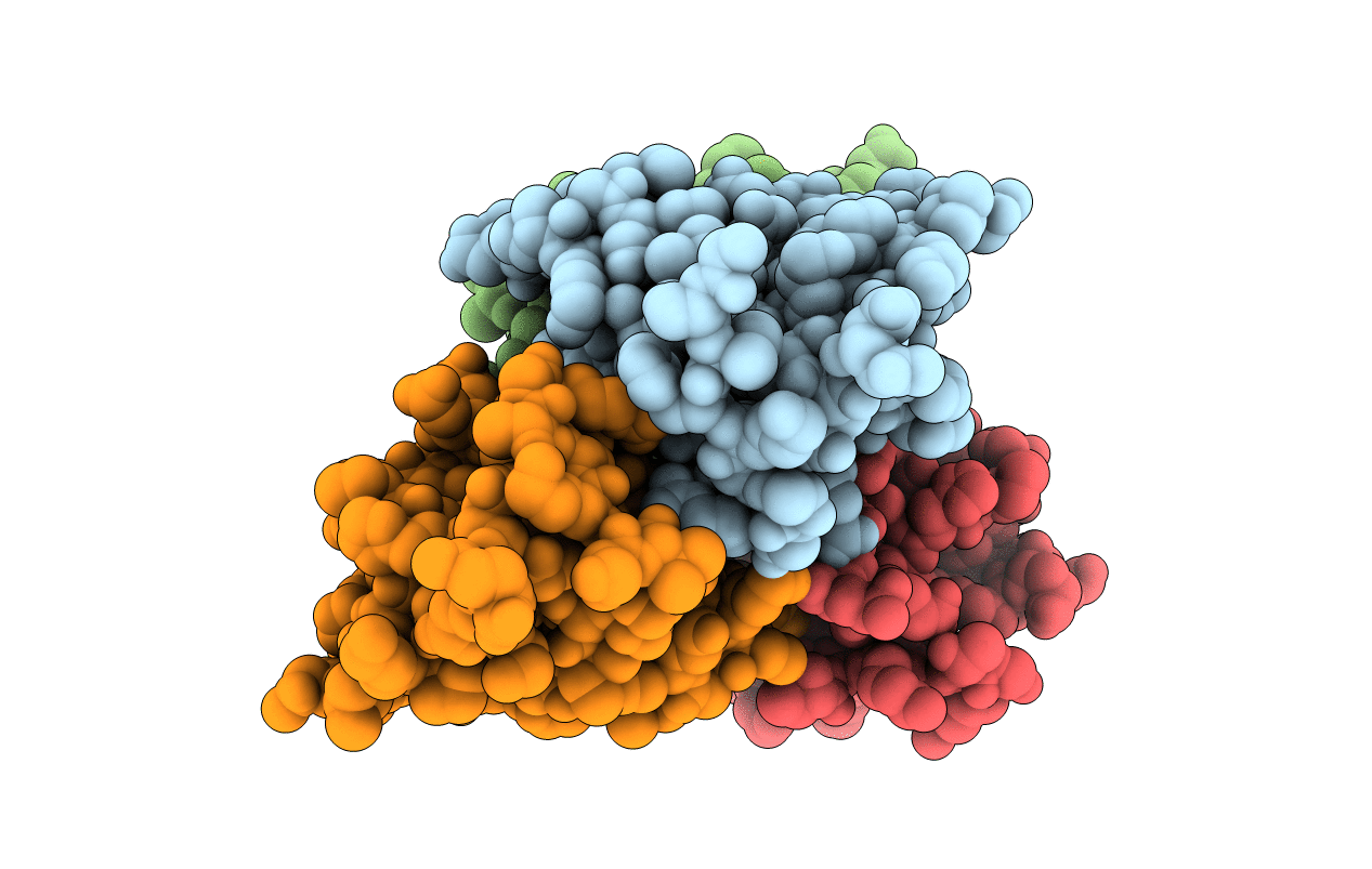 3NIM image