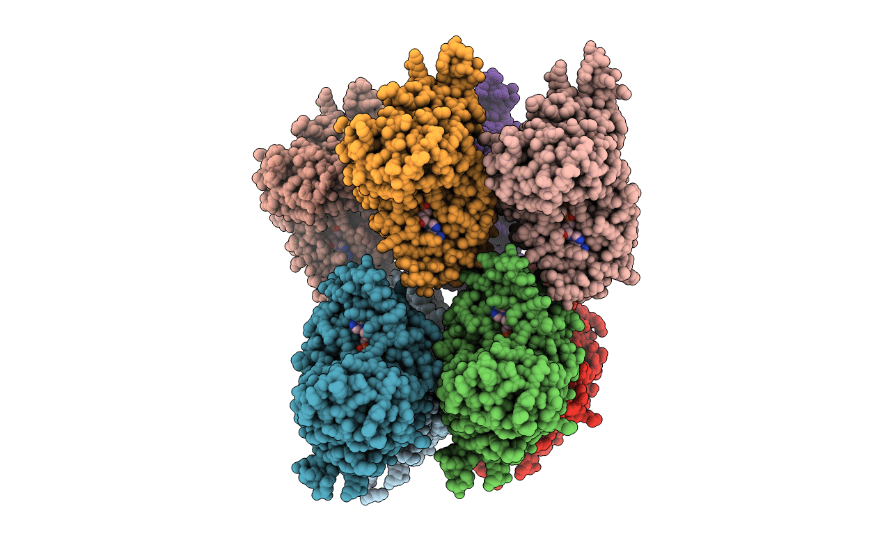 3NIX image