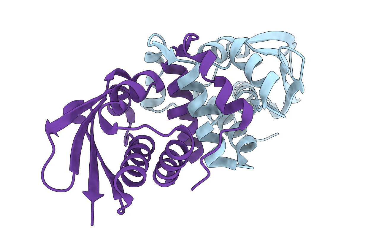 3NJC image