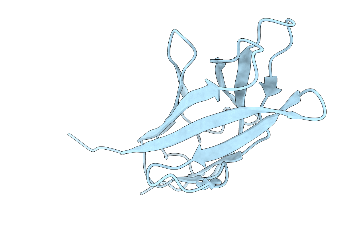 3NJM image