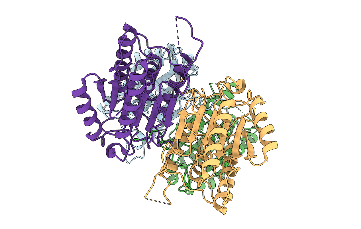 3NKF image