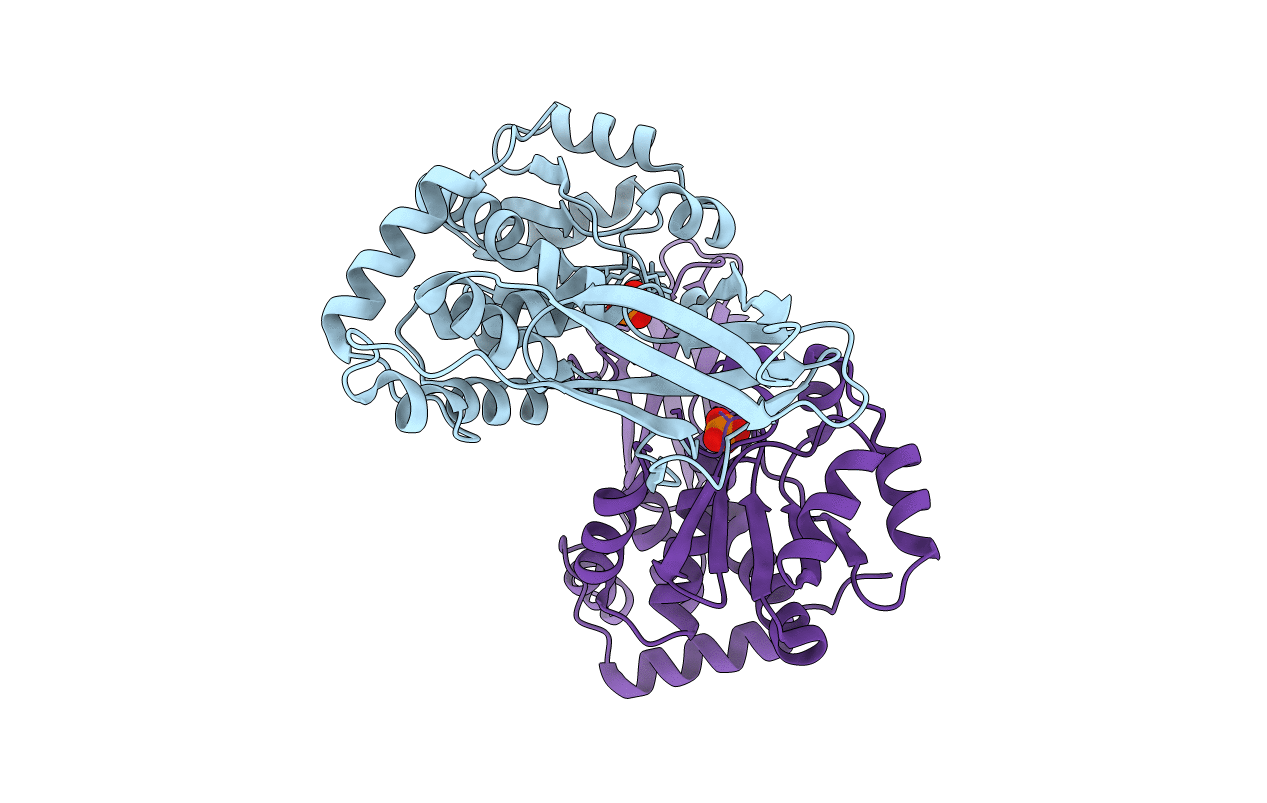 3NME image