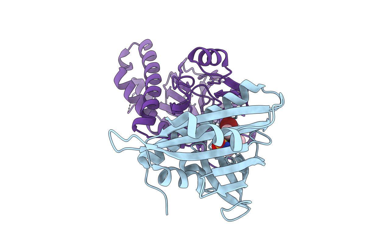 3NMV image
