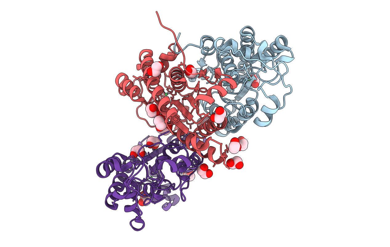 3NO4 image