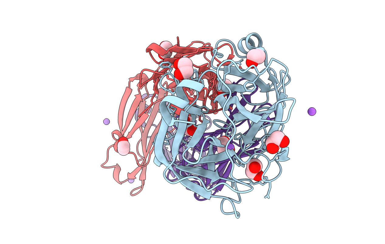3NPS image