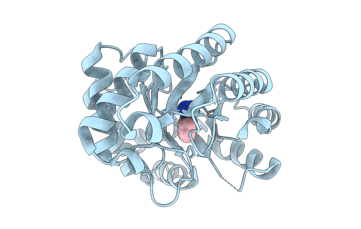 3NQV image