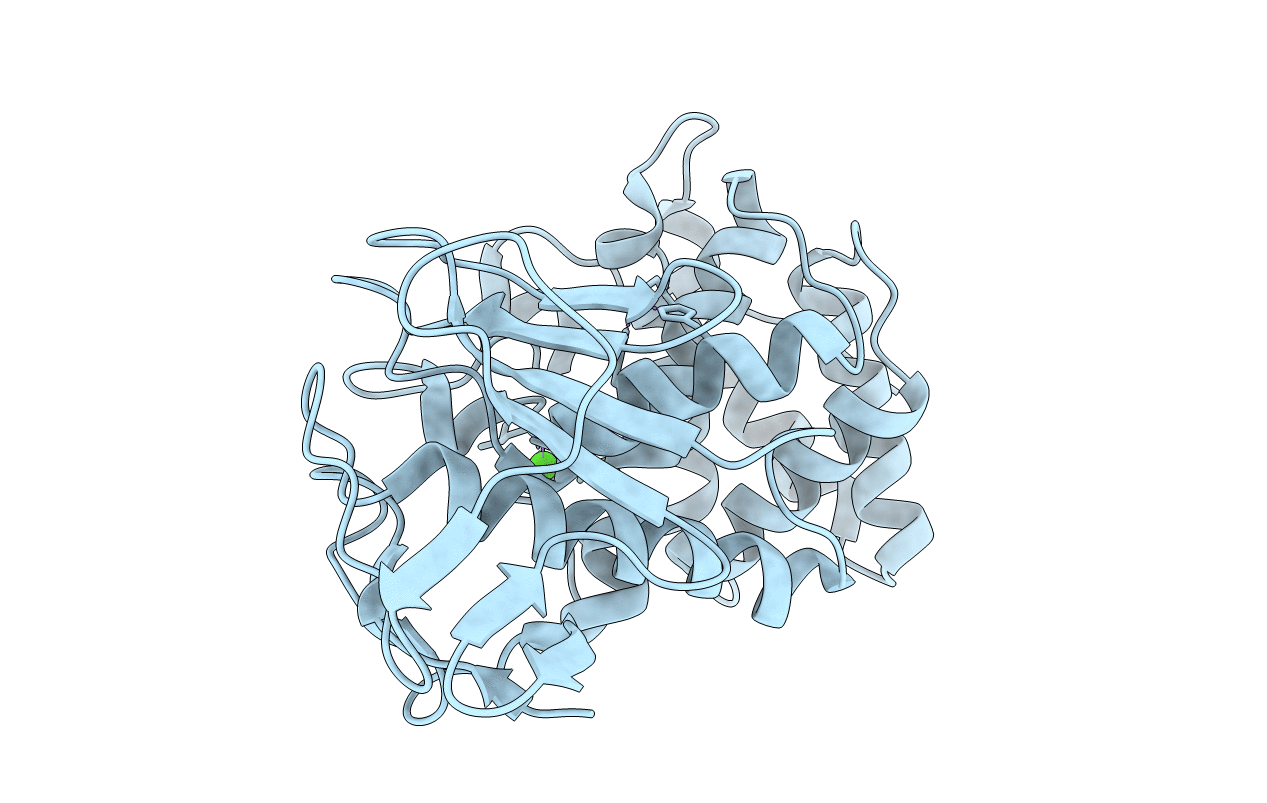 3NQX image