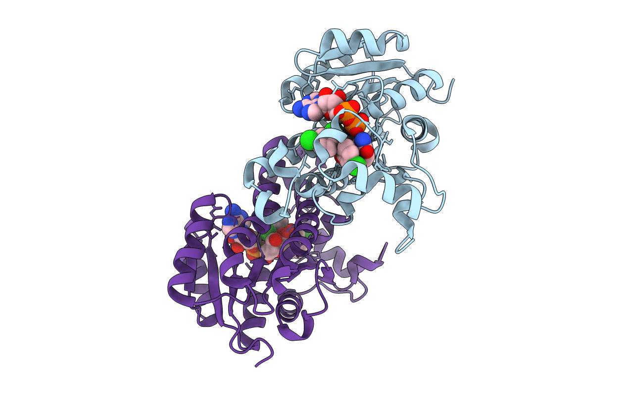 3NRC image