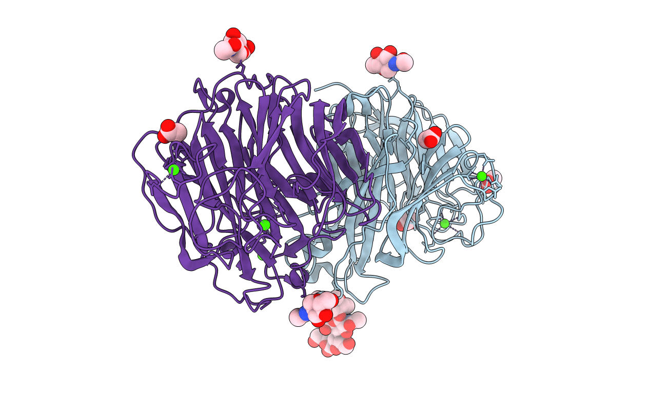 3NSS image