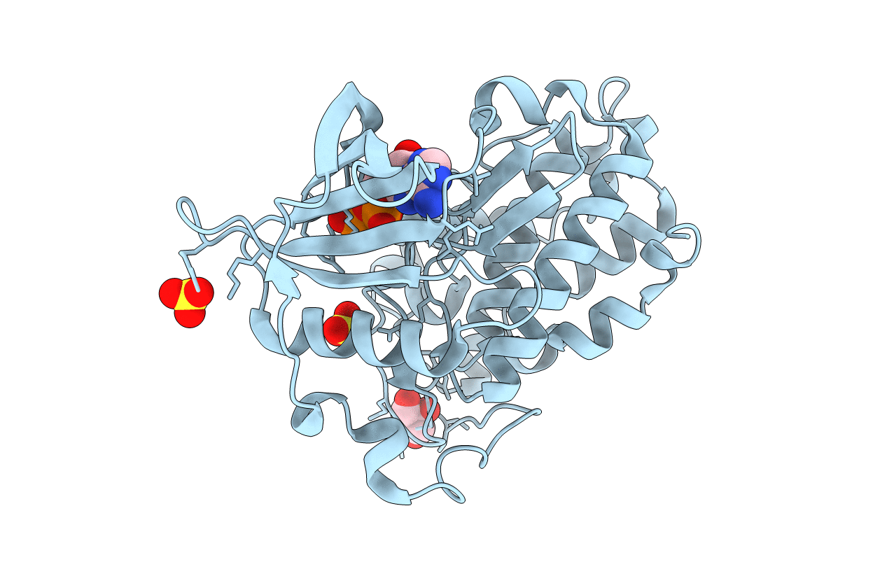 3NSZ image