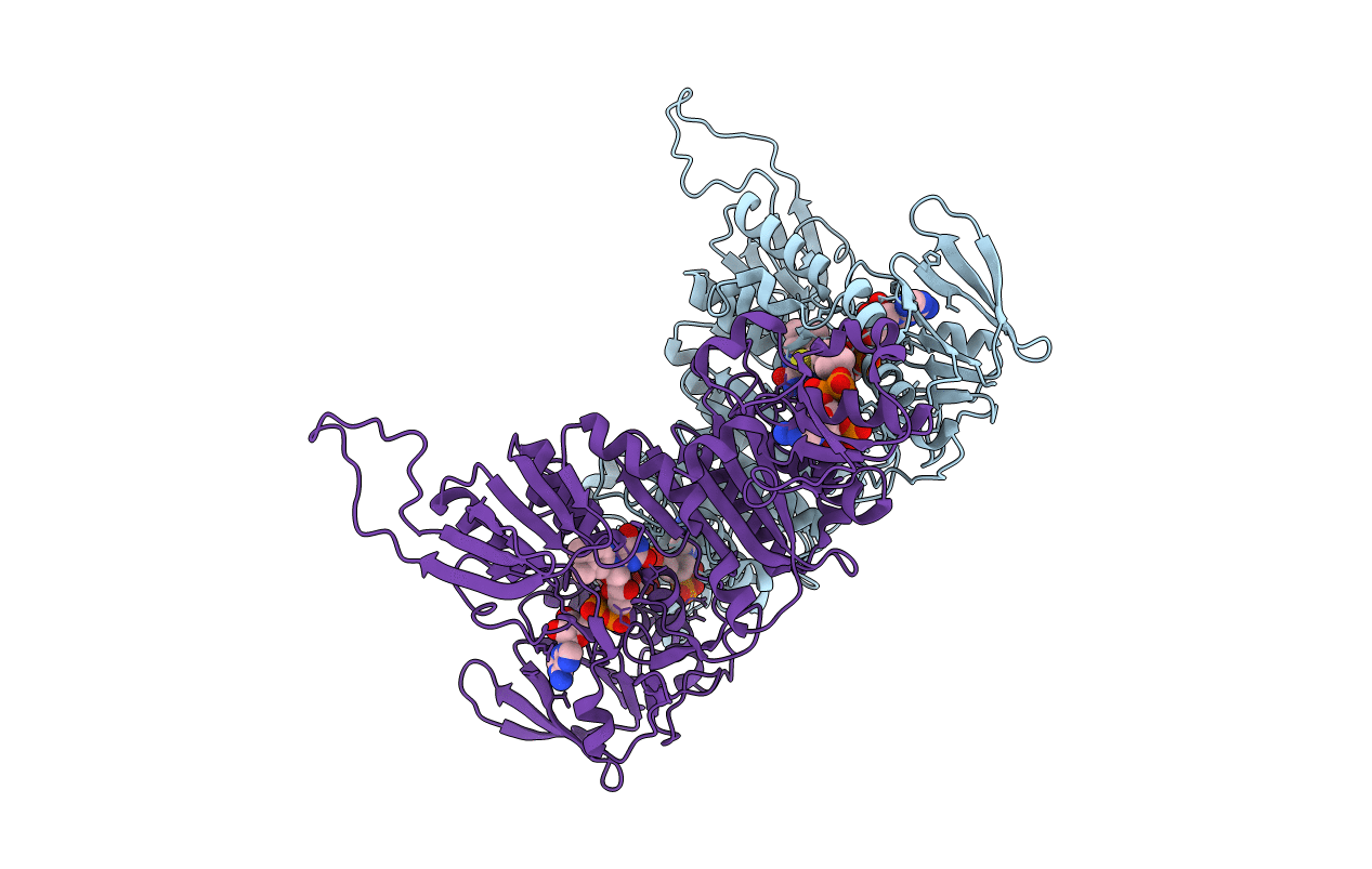 3NTA image