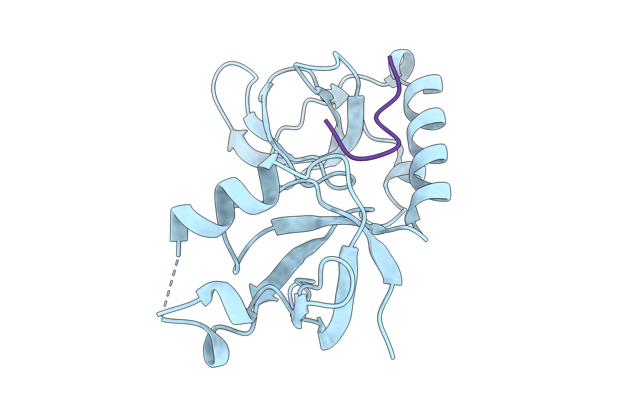 3NTI image